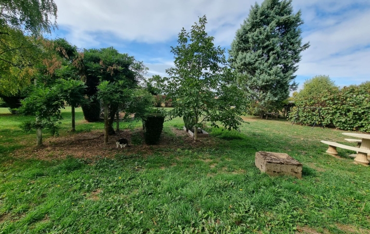 2 Pièces PONT-DE-VAUX (01190)  61 m2 520 € 