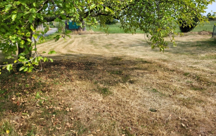 Terrain DOMPIERRE-SUR-VEYLE (01240) 0 m<sup>2</sup> 70 000 € 