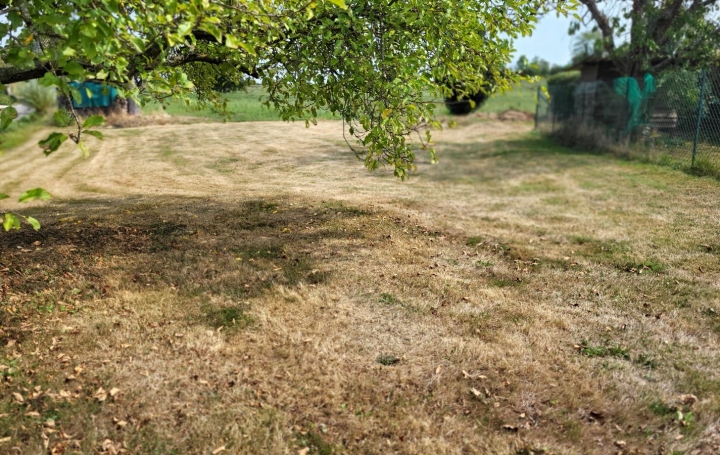 Terrain DOMPIERRE-SUR-VEYLE (01240)   70 000 € 