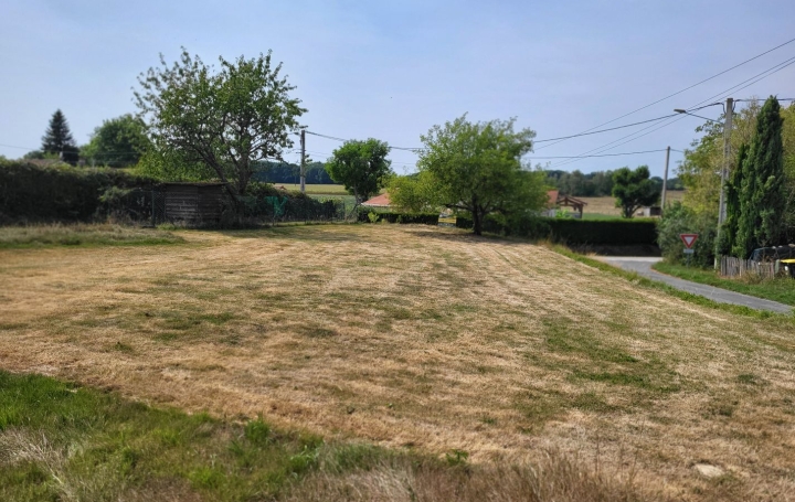 Terrain DOMPIERRE-SUR-VEYLE (01240)   70 000 € 