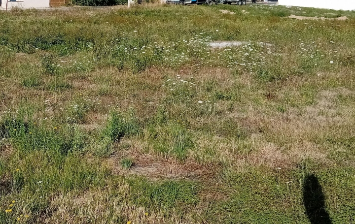 Terrain VILLARS-LES-DOMBES (01330)   157 500 € 