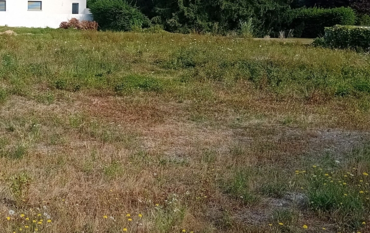 Terrain VILLARS-LES-DOMBES (01330)   157 500 € 