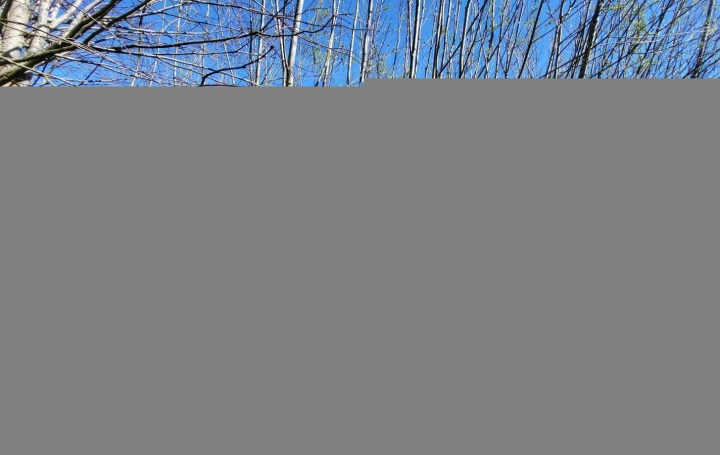 Maison MALLEREY (39190)  75 m2 65 000 € 