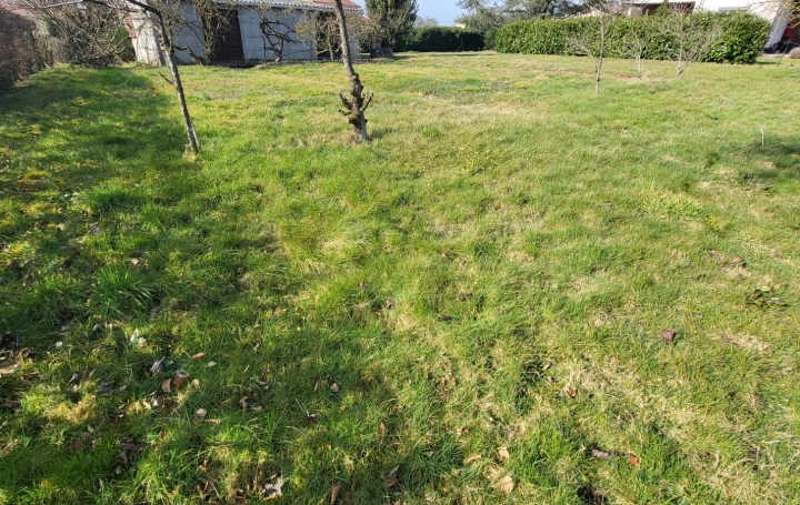 Terrain PONT-DE-VAUX (01190)   57 000 € 