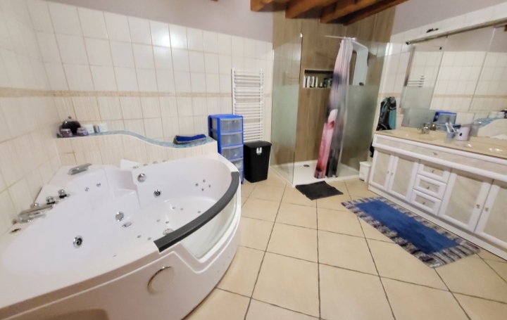 Maison LAGNIEU (01150)  333 m2 356 000 € 