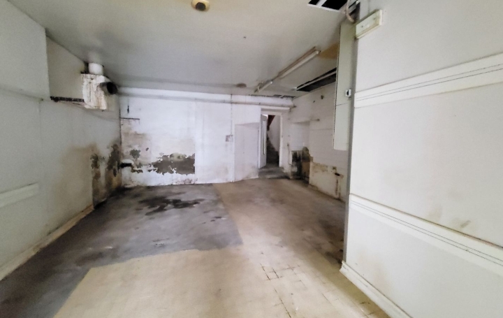 Immeuble NEUVILLE-LES-DAMES (01400)  217 m2 155 000 € 