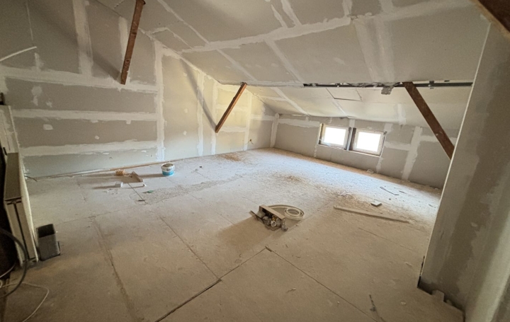 Maison CHALAMONT (01320)  107 m2 110 000 € 