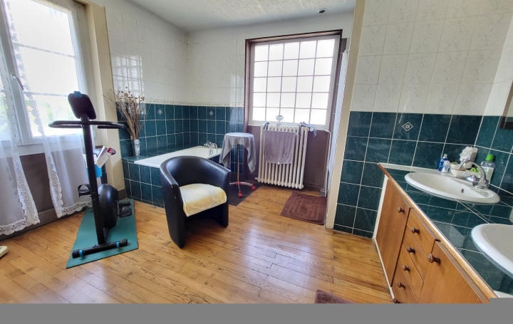 Maison CHALAMONT (01320)  176 m2 375 000 € 