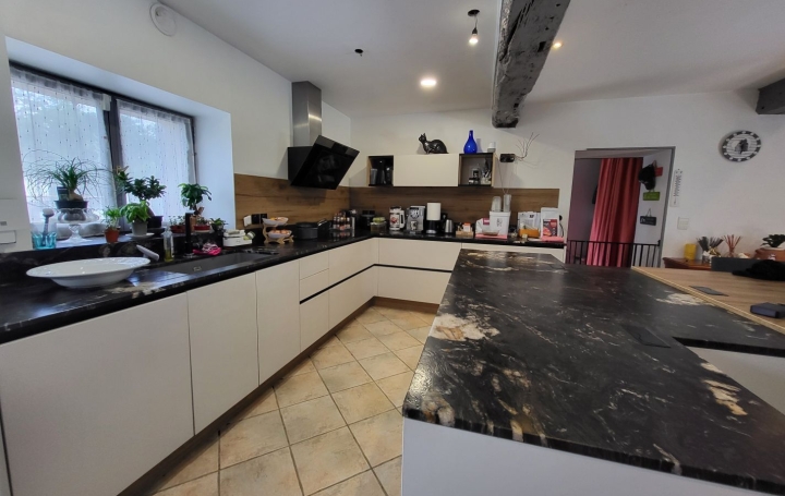 Maison SAINT-PAUL-DE-VARAX (01240)  358 m2 690 000 € 