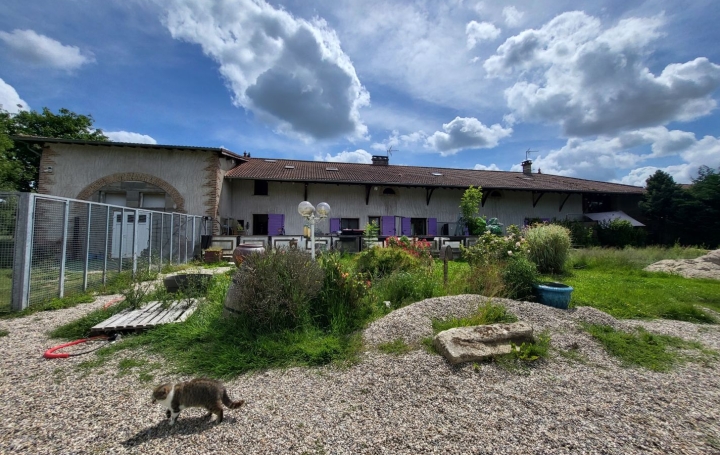 Maison SAINT-PAUL-DE-VARAX (01240)  358 m2 690 000 € 