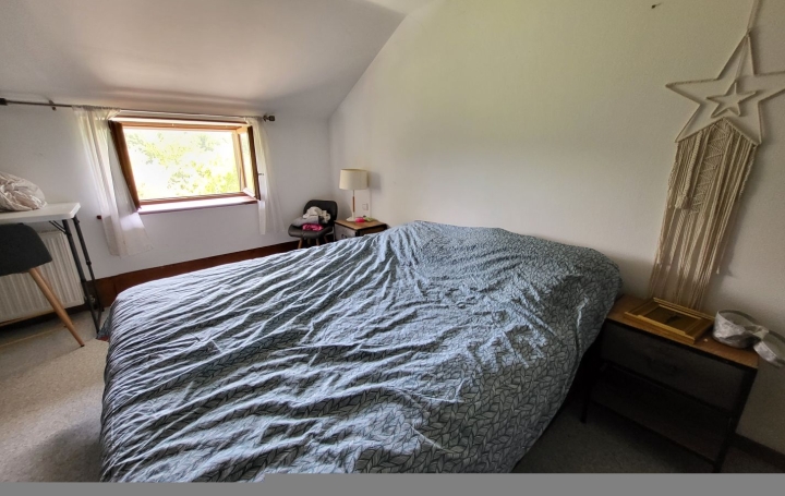 Maison SAINT-PAUL-DE-VARAX (01240)  358 m2 690 000 € 