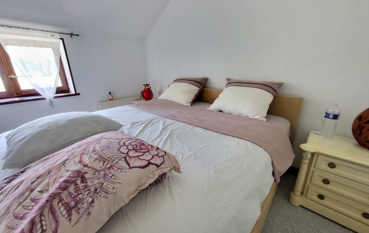 Maison SAINT-PAUL-DE-VARAX (01240)  358 m2 690 000 € 