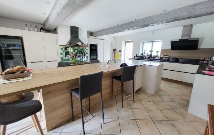 Maison SAINT-PAUL-DE-VARAX (01240)  358 m2 690 000 € 