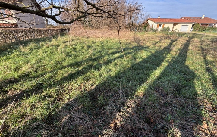 Terrain REYSSOUZE (01190) 0 m<sup>2</sup> 55 000 € 