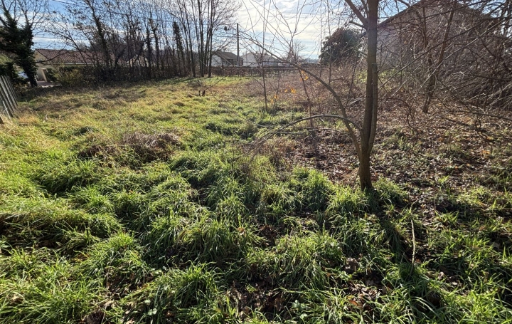 Terrain REYSSOUZE (01190)   55 000 € 