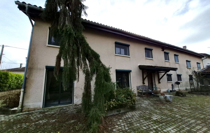 Domaines / Propriétés CHALAMONT (01320) 440 m<sup>2</sup> 750 000 € 