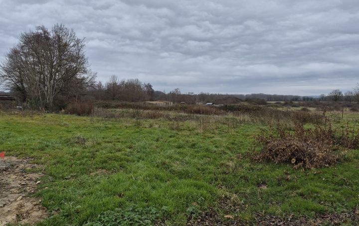 Terrain SAINT-NIZIER-LE-DESERT (01320) 0 m<sup>2</sup> 139 000 € 