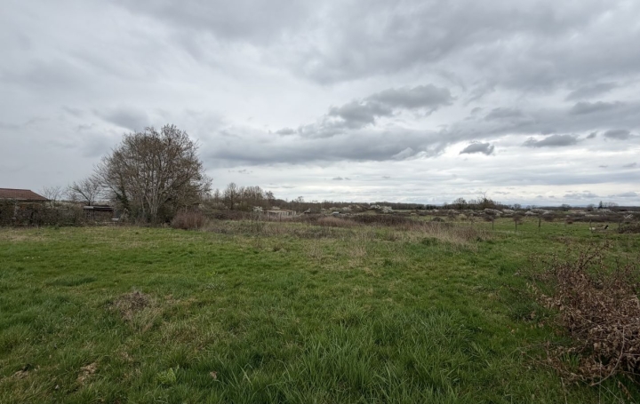 Terrain SAINT-NIZIER-LE-DESERT (01320) 0 m<sup>2</sup> 139 000 € 