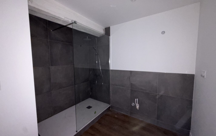 3 Pièces SAINT-PAUL-DE-VARAX (01240)  79 m2 225 000 € 