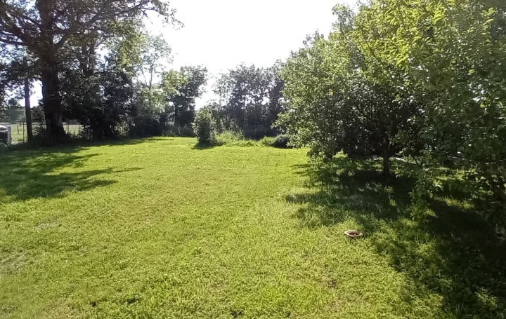 Maison CHALAMONT (01320)  115 m2 304 500 € 
