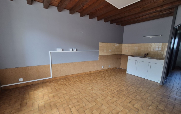 Maison de village CHATILLON-SUR-CHALARONNE (01400)  84 m2 220 000 € 