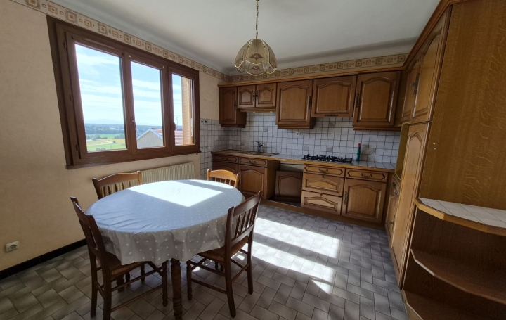 Maison CHALAMONT (01320)  164 m2 315 000 € 