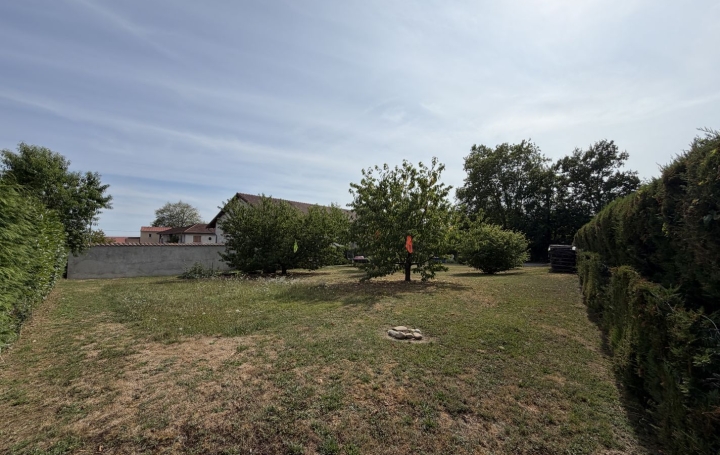 Terrain NEUVILLE-LES-DAMES (01400) 0 m<sup>2</sup> 90 000 € 