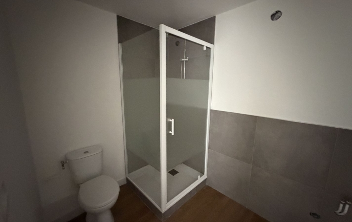 Studio SAINT-PAUL-DE-VARAX (01240)  37 m2 120 000 € 