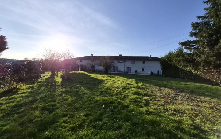 Maison SAINT-PAUL-DE-VARAX (01240)  206 m2 419 000 € 
