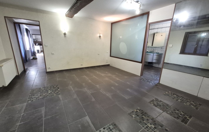 Maison SAINT-PAUL-DE-VARAX (01240)  206 m2 419 000 € 
