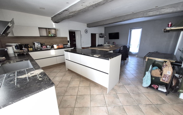 Maison SAINT-PAUL-DE-VARAX (01240)  206 m2 419 000 € 