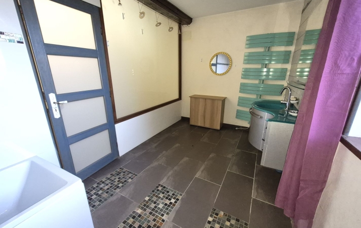 Maison SAINT-PAUL-DE-VARAX (01240)  206 m2 419 000 € 