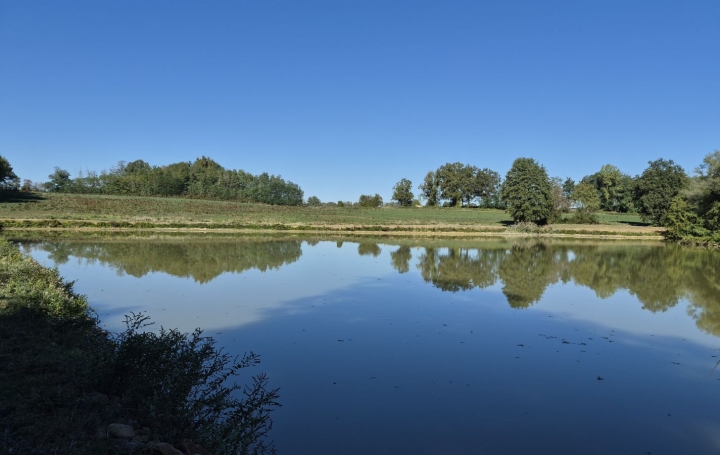 Maison / Villa PONT-DE-VAUX (01190) 1 m<sup>2</sup> 65 000 € 