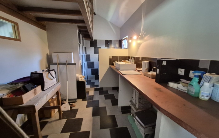 Local commercial NEUVILLE-LES-DAMES (01400)  38 m2 85 000 € 