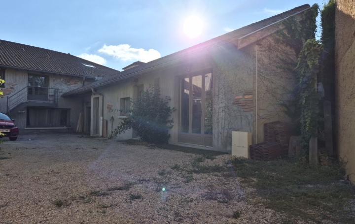 Local commercial NEUVILLE-LES-DAMES (01400)  38 m2 85 000 € 