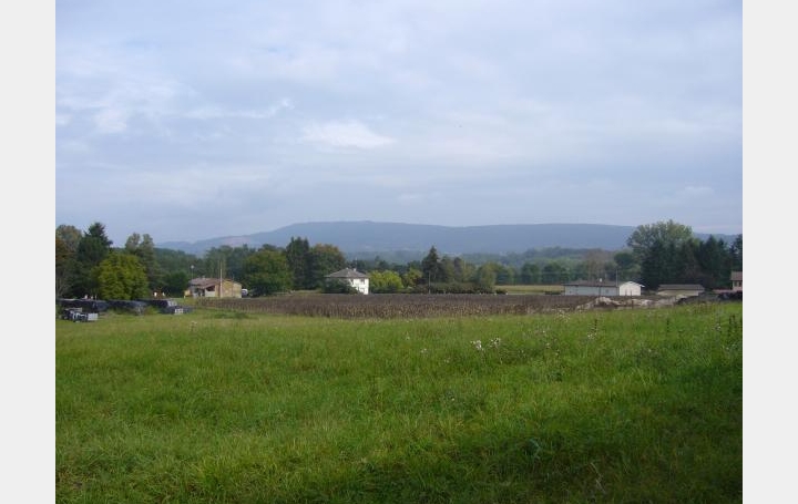 Réseau Immo-diffusion : Terrain  MONTAGNAT   89 075 € 