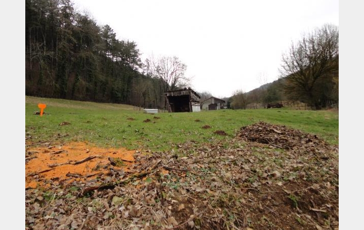 Réseau Immo-diffusion : Terrain  JASSERON   84 000 € 