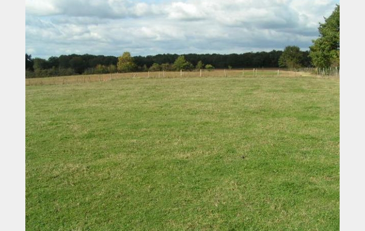 Réseau Immo-diffusion : Terrain  MONTAGNAT   85 750 € 