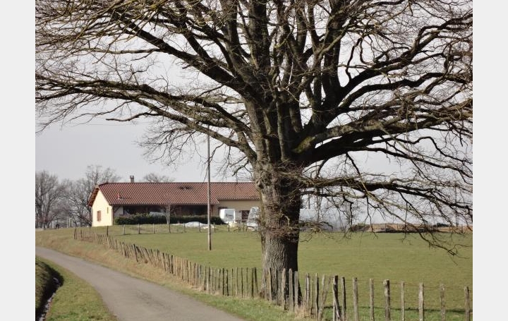 Réseau Immo-diffusion : Villa  CURTAFOND  110 m2 225 000 € 