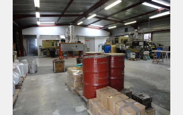 Réseau Immo-diffusion : Activité commerciale  MEILLONNAS   367 000 € 