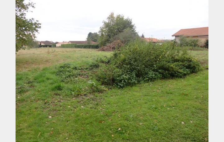 Réseau Immo-diffusion : Terrain  SAINT-DENIS-LES-BOURG   84 500 € 