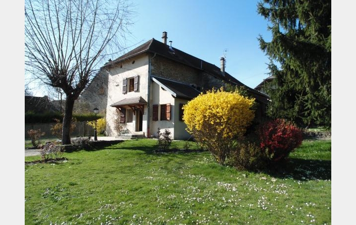 Réseau Immo-diffusion : Maison  BELLEY  230 m2 355 000 € 