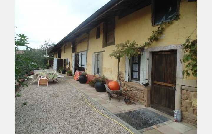 Réseau Immo-diffusion : Domaine  PONT-DE-VAUX  420 m2 320 000 € 