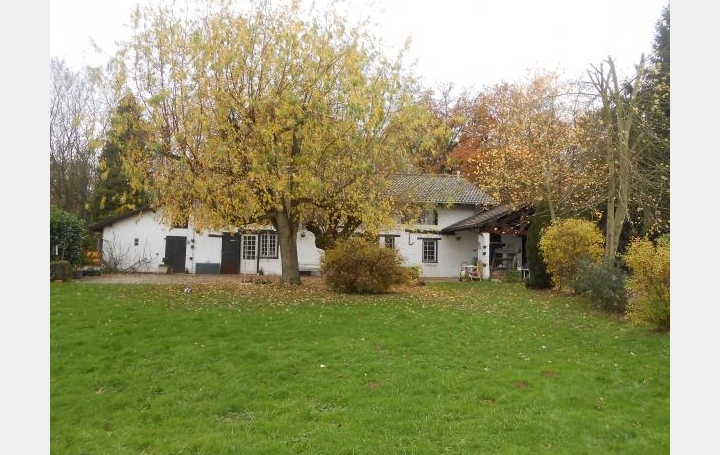 Réseau Immo-diffusion : Domaine  SAINT-NIZIER-LE-DESERT  260 m2 450 000 € 