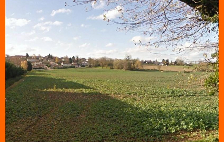 Réseau Immo-diffusion : Terrain  RIGNIEUX-LE-FRANC   74 500 € 