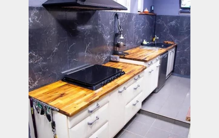 Maison SAINT-MAURICE-DE-BEYNOST (01700)  114 m2 265 000 € 