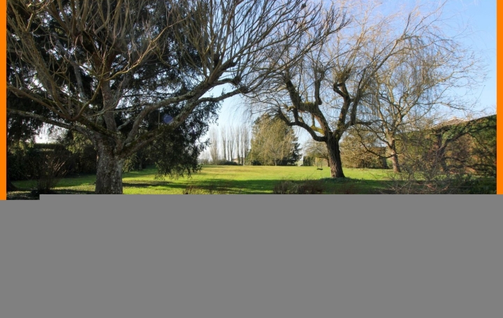 Maison PIZAY (01120)  326 m2 650 000 € 