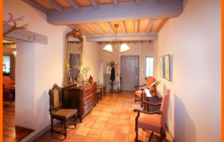 Maison PIZAY (01120)  326 m2 650 000 € 