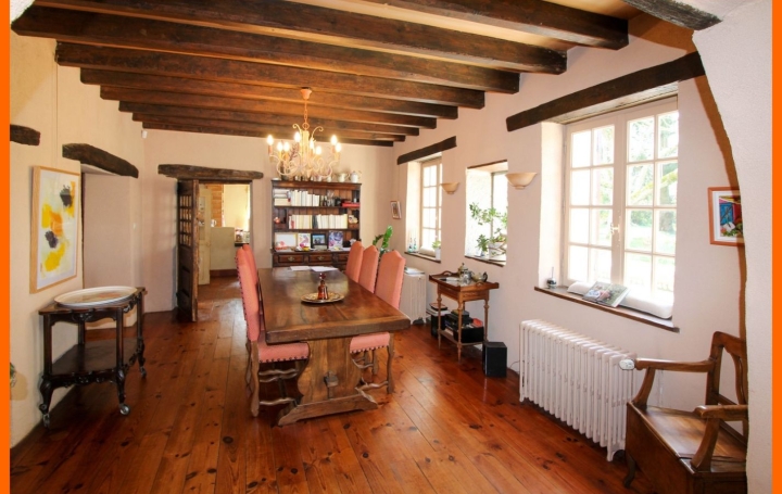 Maison PIZAY (01120)  326 m2 650 000 € 