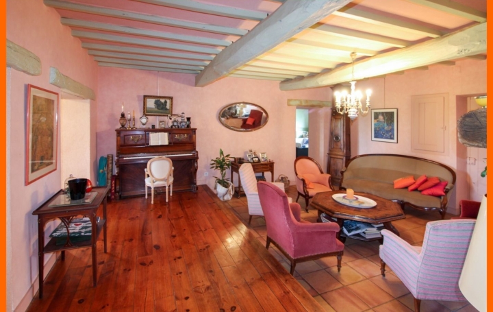 Maison PIZAY (01120)  326 m2 650 000 € 